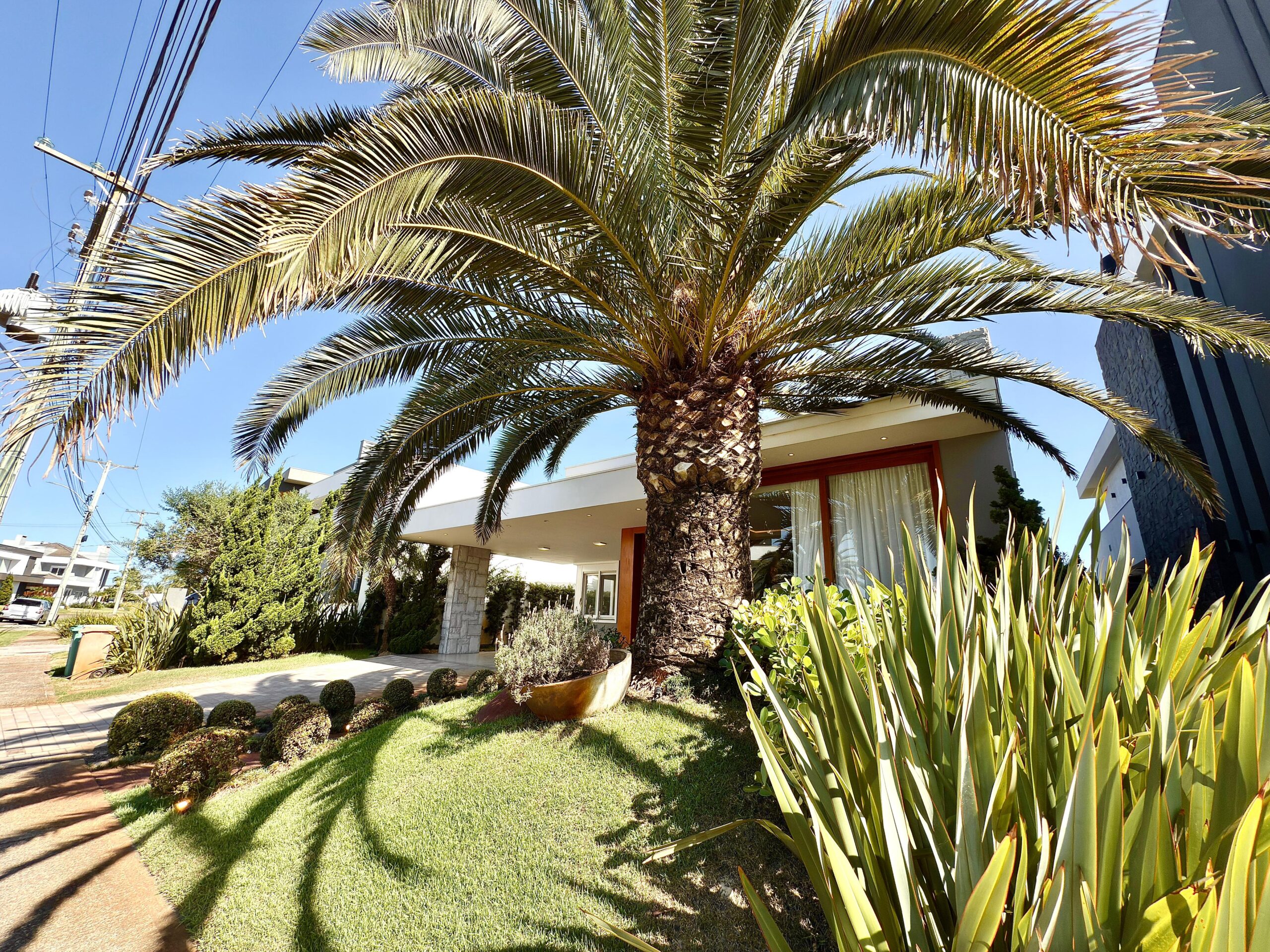 WhatsApp Image 2025-02-08 at 16.18.10